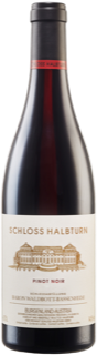 Schloss Halbturn Pinot noir main image